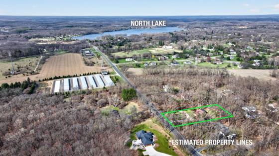 6284 Stofer Road, Chelsea, MI 48118 photo 4