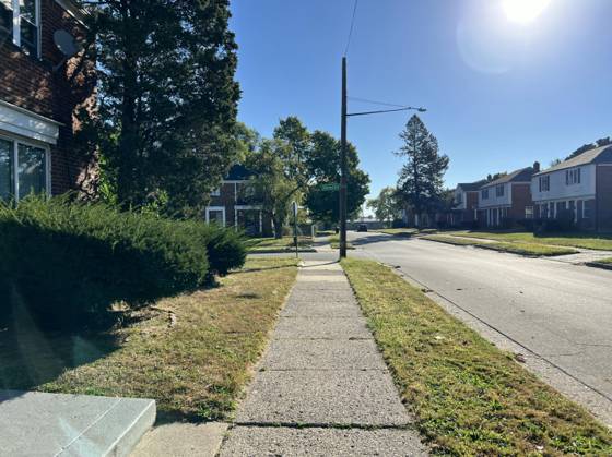 8873 Rutherford Street, Detroit, MI 48228 photo 4