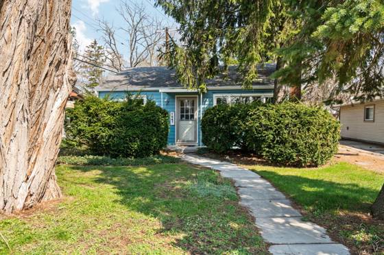 1847 Packard Street, Ann Arbor, MI 48104 photo 4