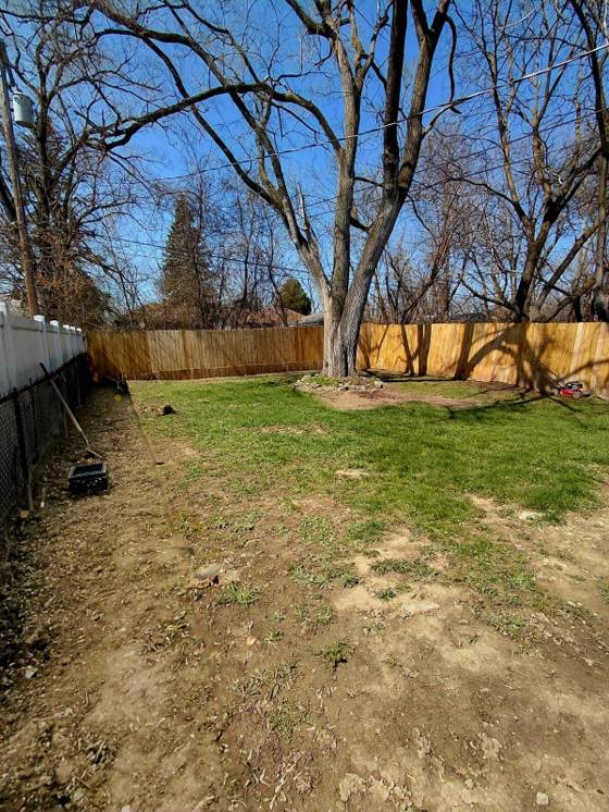 8845 Faust Avenue, Detroit, MI 48228 photo 3