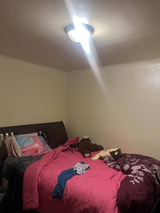 9259 Cheyenne Street, Detroit, MI 48228 photo 4