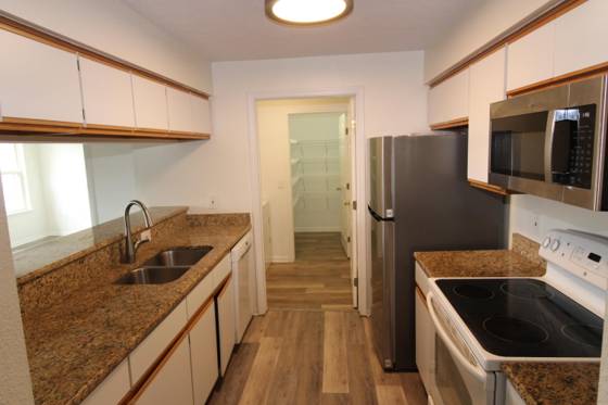 1411 Heatherwood Lane, Ann Arbor, MI 48108 photo 5