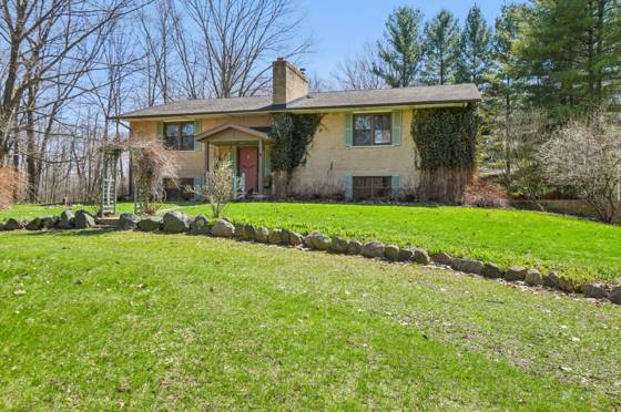 13909 Scio Church Road, Chelsea, MI 48118 photo 2