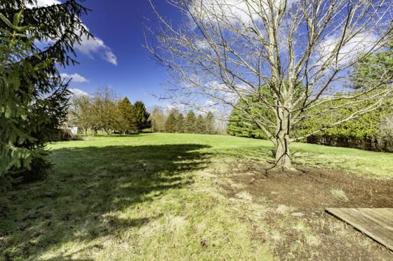 4425 Dexter Townhall Road, Dexter, MI 48130 photo 3