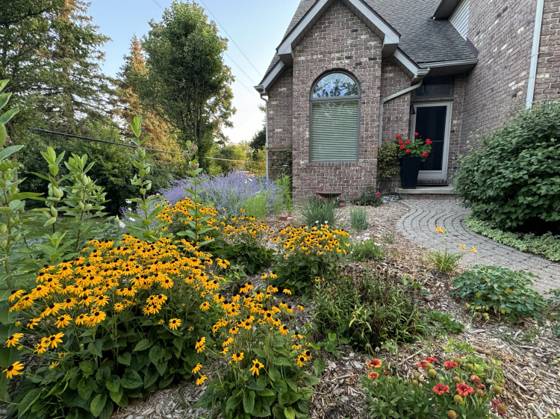 2036 Suffolk Avenue, Ann Arbor, MI 48103 photo 4