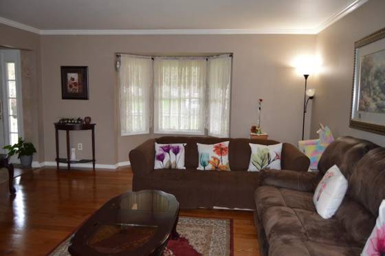 808 Church Street, Fowlerville, MI 48836 photo 5