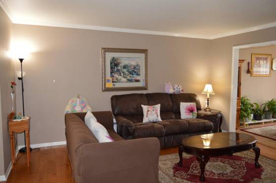 808 Church Street, Fowlerville, MI 48836 photo 2