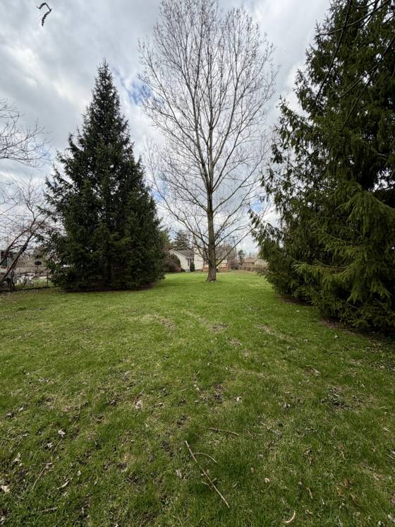 27420 Milton Avenue, Warren, MI 48092 photo 4