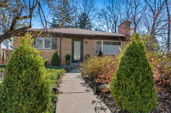 385 Hazelwood Avenue, Ann Arbor, MI 48103 photo 4