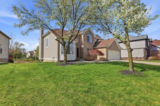 26493 Isleworth Point, Southfield, MI 48034 photo 3