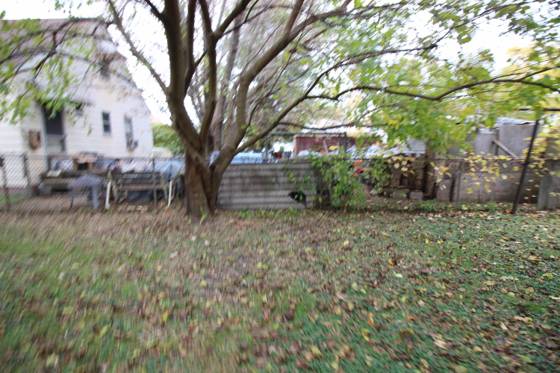 18336 E 12 Mile Road, Roseville, MI 48066 photo 3