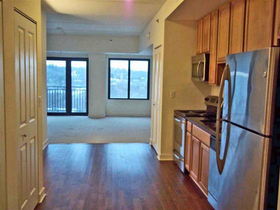 111 N Ashley Street #613, Ann Arbor, MI 48104 photo 3
