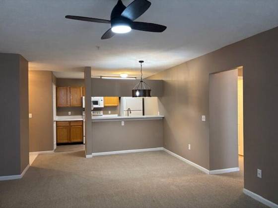 4303 Inverness Street, Dexter, MI 48130 photo 4