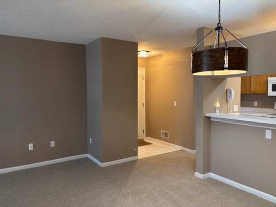 4303 Inverness Street, Dexter, MI 48130 photo 5