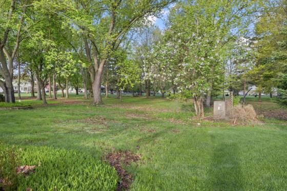 17447 Park Street, Livonia, MI 48152 photo 4