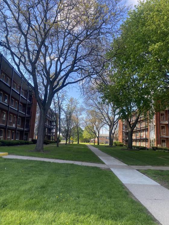 2915 W 13 Mile Road #209, Royal Oak, MI 48073 photo 2