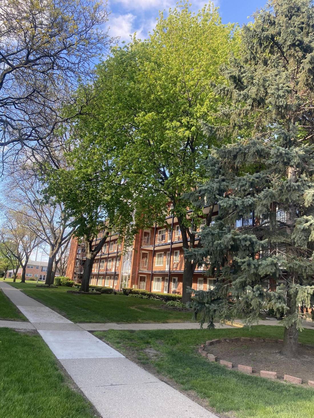 2915 W 13 Mile Road #209, Royal Oak, MI 48073