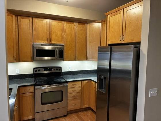 260 Snyder Avenue, Ann Arbor, MI 48103 photo 5