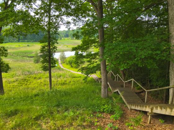 13955 Rattalee Lake Road, Davisburg, MI 48350 photo 4