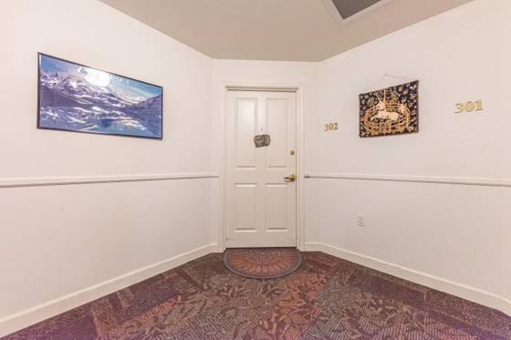807 Asa Gray Drive #302, Ann Arbor, MI 48105 photo 4