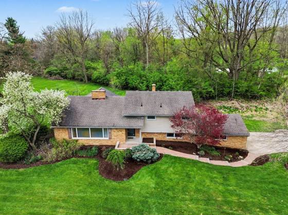 6595 Napier Road, Plymouth, MI 48170 photo 4
