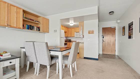 555 E William Street #18A, Ann Arbor, MI 48104 photo 4