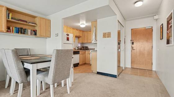 555 E William Street #18A, Ann Arbor, MI 48104 photo 5