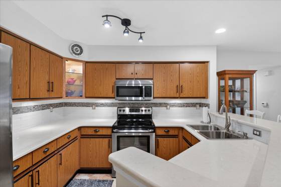 1571 Long Meadow Trail, Ann Arbor, MI 48108 photo 4