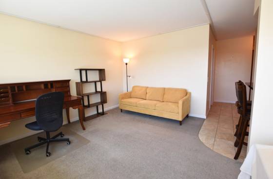 555 E William Street #15K, Ann Arbor, MI 48104 photo 2