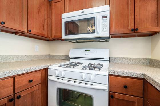 225 Briarcrest #204, Ann Arbor, MI 48104 photo 5