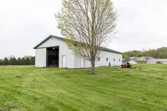 6520 Peckins Lane, Manchester, MI 48158 photo 3