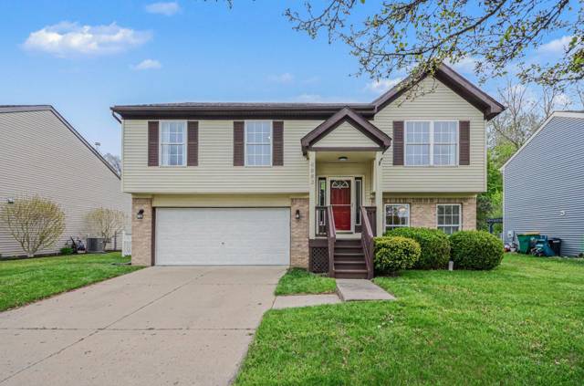 6883 Maplelawn Drive, Ypsilanti, MI