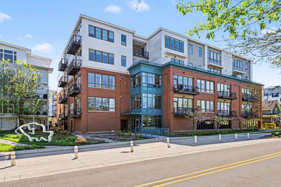 410 N First Street #307, Ann Arbor, MI 48103 photo 3