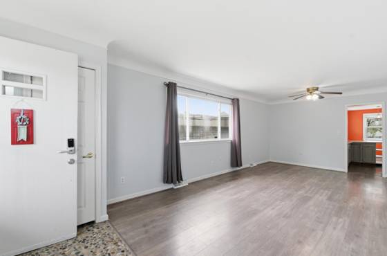 27033 Brush Street, Madison Heights, MI 48071 photo 5