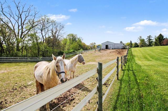 2536 W Coon Lake Road, Howell, MI