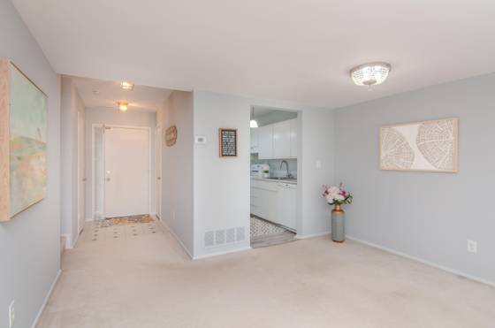 3017 Lakehaven Court, Ann Arbor, MI 48105 photo 4