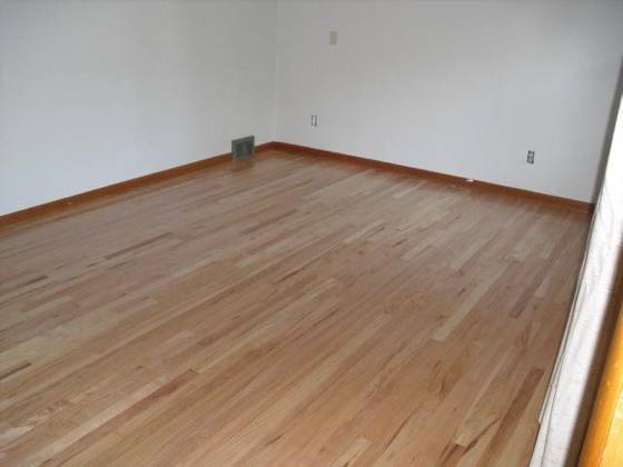 808 Pauline Boulevard, Ann Arbor, MI 48103 photo 3