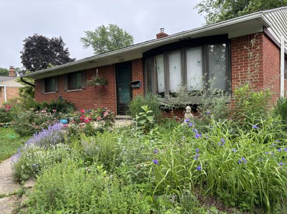 1500 Las Vegas Drive, Ann Arbor, MI 48103 photo 4