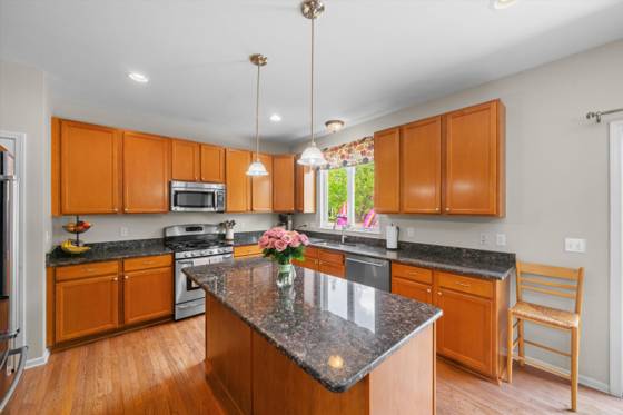 3727 Hogan Circle, Rochester, MI 48307 photo 4