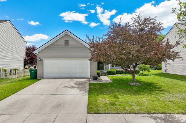 7353 Maplelawn Drive, Ypsilanti, MI