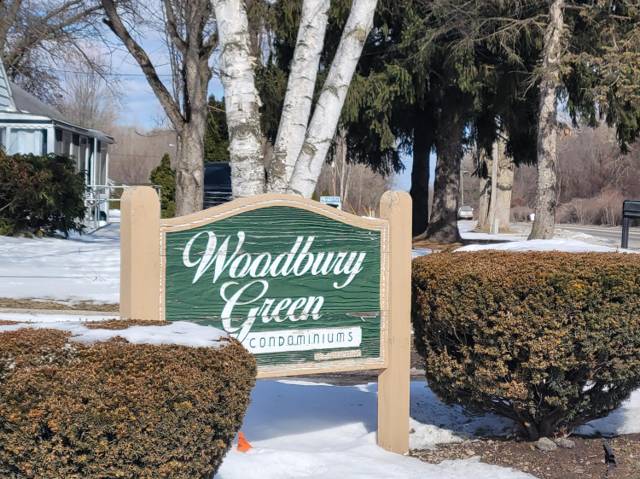 41276 N Woodbury Green Drive, Belleville