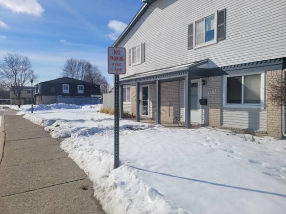 41276 N Woodbury Green Drive, Belleville, MI 48111 photo 3