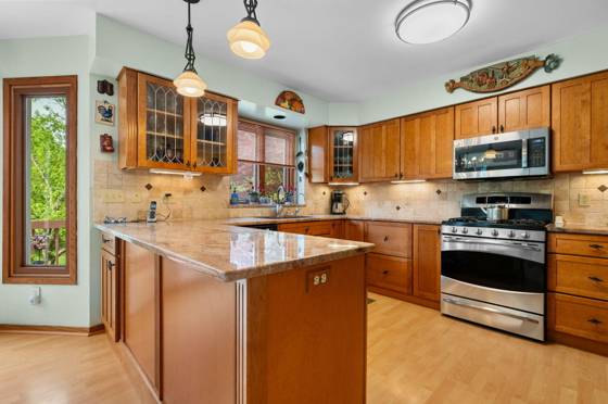 4216 Corey Circle, Ann Arbor, MI 48103 photo 4