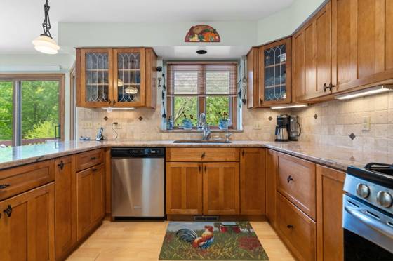 4216 Corey Circle, Ann Arbor, MI 48103 photo 3