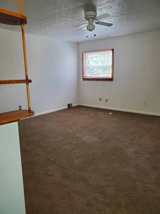 1577 Andrea Street, Ypsilanti, MI 48198 photo 5