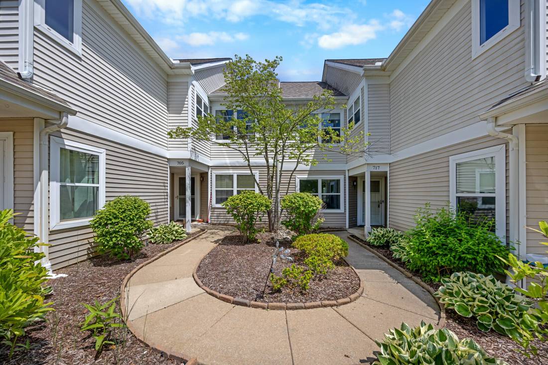 717 Fieldstone Circle W, Chelsea, MI 48118
