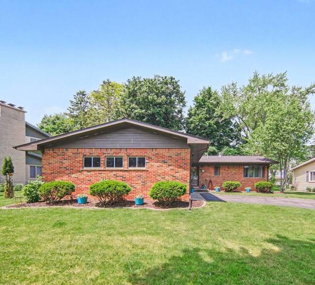 17 Sycamore Drive, Chelsea, MI
