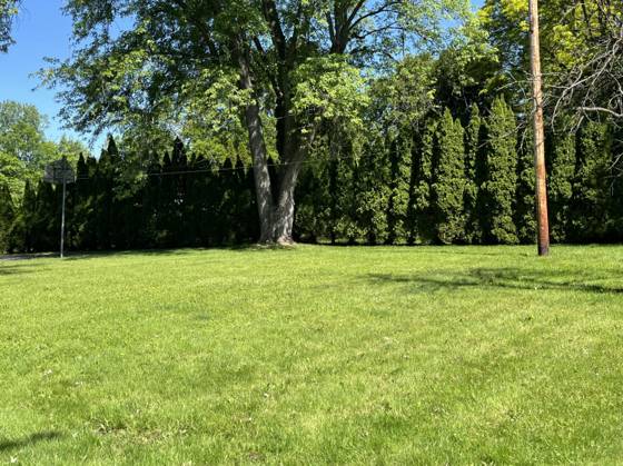 29360 Woodhaven Lane, Southfield, MI 48076 photo 4