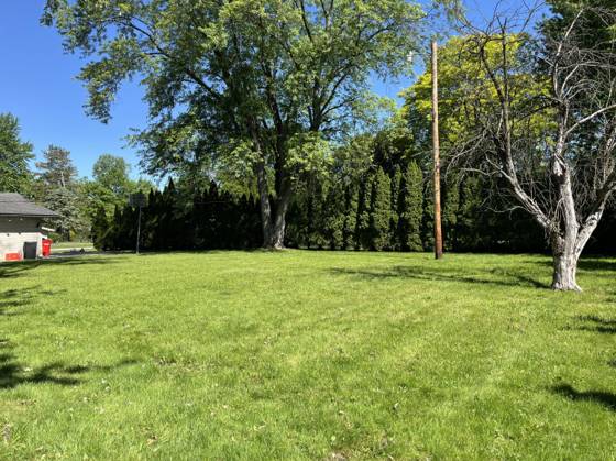 29360 Woodhaven Lane, Southfield, MI 48076 photo 5