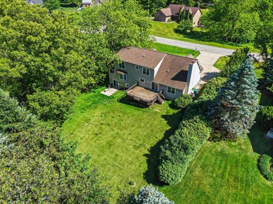 13574 Orchard Court, Chelsea, MI 48118 photo 3